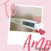 ヒメ日記 2025/01/25 23:05 投稿 なな MIKADO