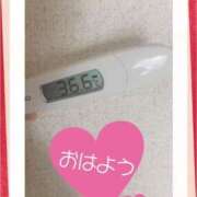 ヒメ日記 2025/01/28 07:21 投稿 なな MIKADO