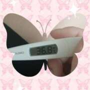 ヒメ日記 2025/02/02 06:31 投稿 なな MIKADO