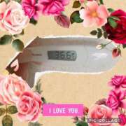 ヒメ日記 2025/02/03 06:21 投稿 なな MIKADO