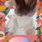 ヒメ日記 2025/02/05 00:21 投稿 なな MIKADO