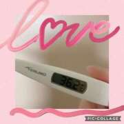 ヒメ日記 2025/02/14 23:38 投稿 なな MIKADO