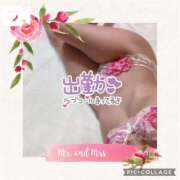 ヒメ日記 2025/02/17 23:51 投稿 なな MIKADO