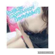 ヒメ日記 2025/02/19 01:21 投稿 なな MIKADO