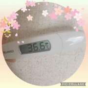 ヒメ日記 2025/03/10 23:31 投稿 なな MIKADO