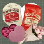 ヒメ日記 2025/03/15 22:58 投稿 なな MIKADO