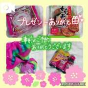 ヒメ日記 2025/03/19 22:53 投稿 なな MIKADO