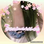 ヒメ日記 2025/03/19 23:02 投稿 なな MIKADO