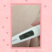 ヒメ日記 2025/03/20 22:56 投稿 なな MIKADO