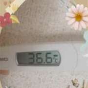 ヒメ日記 2025/03/21 07:21 投稿 なな MIKADO