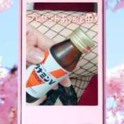 ヒメ日記 2025/03/21 23:51 投稿 なな MIKADO