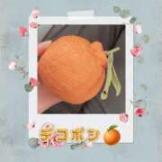 ヒメ日記 2025/04/09 15:21 投稿 なな MIKADO