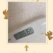 ヒメ日記 2025/04/11 07:51 投稿 なな MIKADO