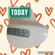 ヒメ日記 2025/04/12 22:11 投稿 なな MIKADO