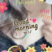 ヒメ日記 2025/04/14 09:59 投稿 なな MIKADO