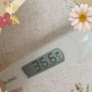 ヒメ日記 2025/04/15 08:31 投稿 なな MIKADO