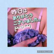 ヒメ日記 2025/04/16 08:31 投稿 なな MIKADO