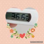 ヒメ日記 2025/04/18 23:51 投稿 なな MIKADO