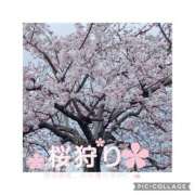 ヒメ日記 2025/04/19 21:21 投稿 なな MIKADO