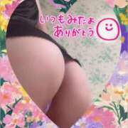 ヒメ日記 2025/04/21 23:47 投稿 なな MIKADO