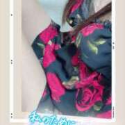 ヒメ日記 2025/04/22 23:51 投稿 なな MIKADO