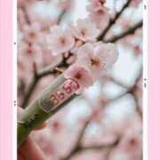 ヒメ日記 2025/05/02 07:11 投稿 なな MIKADO