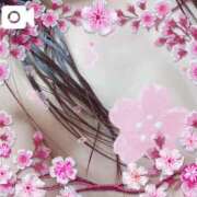 ヒメ日記 2025/05/04 02:38 投稿 なな MIKADO