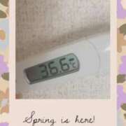 ヒメ日記 2025/05/30 08:11 投稿 なな MIKADO