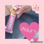 ヒメ日記 2025/07/07 07:31 投稿 なな MIKADO