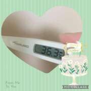 ヒメ日記 2025/07/08 08:24 投稿 なな MIKADO