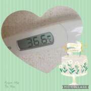 ヒメ日記 2025/07/30 07:21 投稿 なな MIKADO