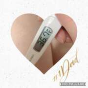 ヒメ日記 2025/08/02 07:41 投稿 なな MIKADO