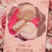 ヒメ日記 2025/08/14 23:31 投稿 なな MIKADO