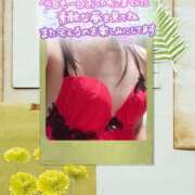 ヒメ日記 2025/08/22 00:11 投稿 なな MIKADO