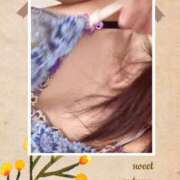 ヒメ日記 2025/09/19 00:10 投稿 なな MIKADO