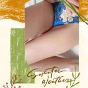 ヒメ日記 2025/09/21 08:21 投稿 なな MIKADO