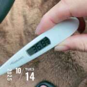 ヒメ日記 2025/10/14 07:41 投稿 なな MIKADO