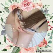 ヒメ日記 2025/10/19 08:35 投稿 なな MIKADO