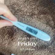 ヒメ日記 2025/11/07 07:56 投稿 なな MIKADO