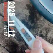 ヒメ日記 2025/11/12 07:21 投稿 なな MIKADO