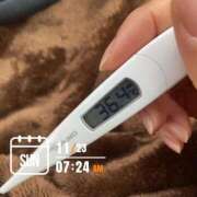 ヒメ日記 2025/11/23 07:41 投稿 なな MIKADO