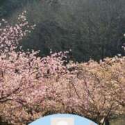 ヒメ日記 2026/03/04 23:31 投稿 なな MIKADO