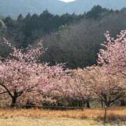 ヒメ日記 2026/03/08 00:06 投稿 なな MIKADO