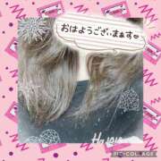 ヒメ日記 2026/03/12 08:05 投稿 なな MIKADO