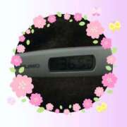 ヒメ日記 2026/03/23 21:34 投稿 なな MIKADO