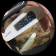 ヒメ日記 2026/03/24 07:44 投稿 なな MIKADO