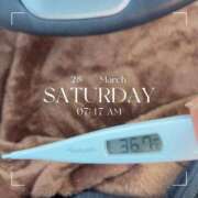 ヒメ日記 2026/03/28 08:05 投稿 なな MIKADO