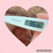 ヒメ日記 2026/04/08 23:51 投稿 なな MIKADO