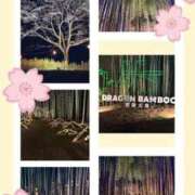 ヒメ日記 2026/04/09 00:05 投稿 なな MIKADO