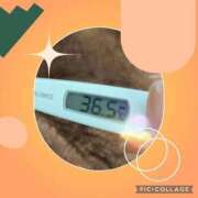 ヒメ日記 2026/10/08 08:01 投稿 なな MIKADO